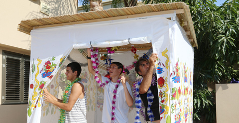 צביקה טישלר צביקה טישלר