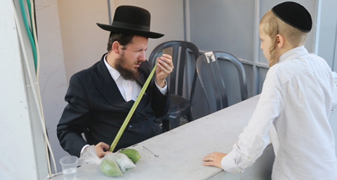 מוטי קמחי מוטי קמחי