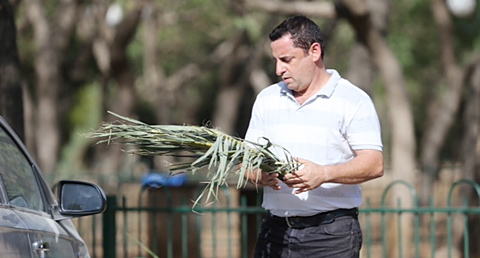 מוטי קמחי מוטי קמחי
