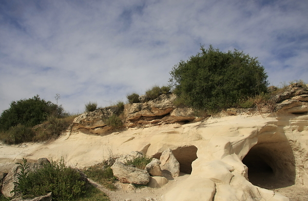 סלע הקירטון מאפשר ריבוי מערות. מחילות בתל גודד (צילום: חנן ישכר)