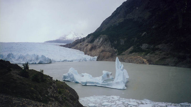 הקרחונים נמסים, גובה פני הים עולה (צילום: תמר אברהם) (צילום: תמר אברהם)