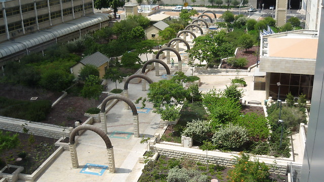 גן על גג מבנה האוצר בקריית הממשלה בחיפה (באדיבות "גרינשטיין הר-גיל") (באדיבות 