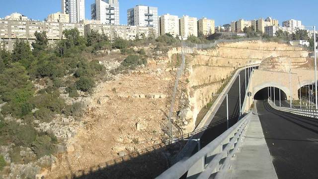 שיקום נופי בגרנד קניון בחיפה (באדיבות משרד אדריכלות נוף מרגלית סוכוי) (צילום: מרגלית סוכוי) (צילום: מרגלית סוכוי)