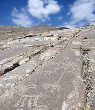 ציורי יעל הדומים לאלו מהר כרכום. חרותות סלע פרהיסטוריות בלנגר (צילום: אפרת נקש)