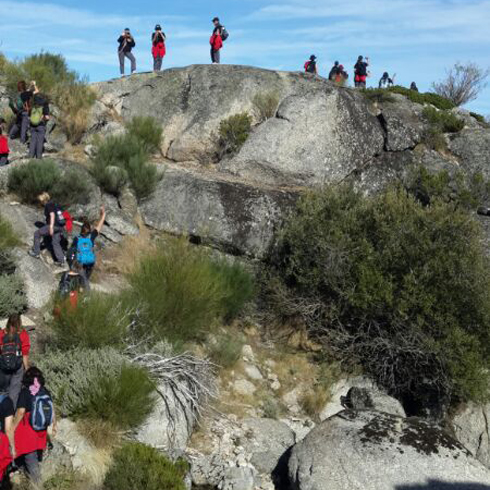 צילום: דינה פרומוביץ צילום: דינה פרומוביץ