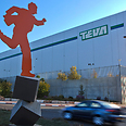 Teva plant