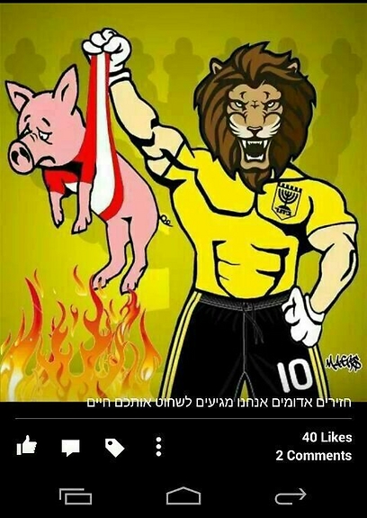 התמונה של האריה והחזיר. האווירה מתחממת (צילום מסך: פייסבוק) (צילום מסך: פייסבוק)