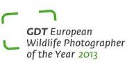 צילום: GDT European Wildlife Photographer of the Year 2013