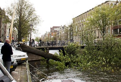 אמסטרדם, היום (צילום: AP) (צילום: AP)