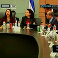 Committee (Photo: Knesset Channel)