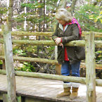 אל "יער הרוחות". אורנה עדן