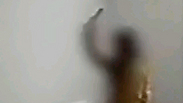 באדיבות המשפחה המטפלת. לא הואשמה