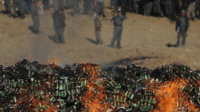 שריפת יבול אופיום על ידי כוחות הביטחון בקאבול (צילום: AFP) (צילום: AFP)