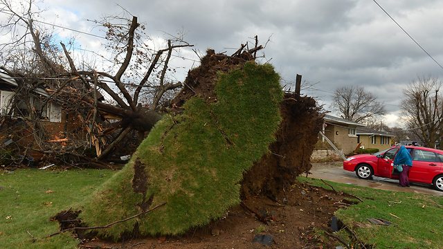 עץ נעקר ממקומו והתרסק על בית בעיירה וושינגטון (צילום: AP) (צילום: AP)