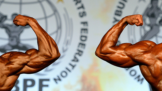 שני מתחרים מפגינים שרירים באליפות העולם לפיתוח גוף בעיר בודארוס שבהונגריה (צילום: AFP) (צילום: AFP)