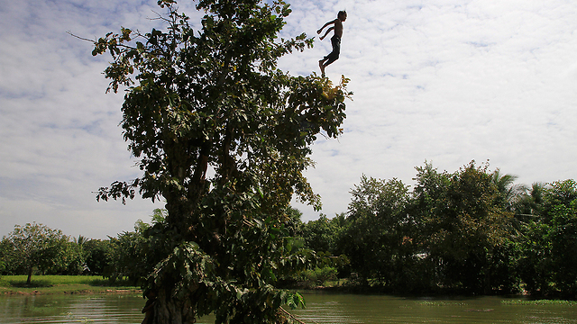 ילד קופץ מעץ אל תוך נהר בפאתי העיר פנום פן, בירת קמבודיה (צילום: AP) (צילום: AP)