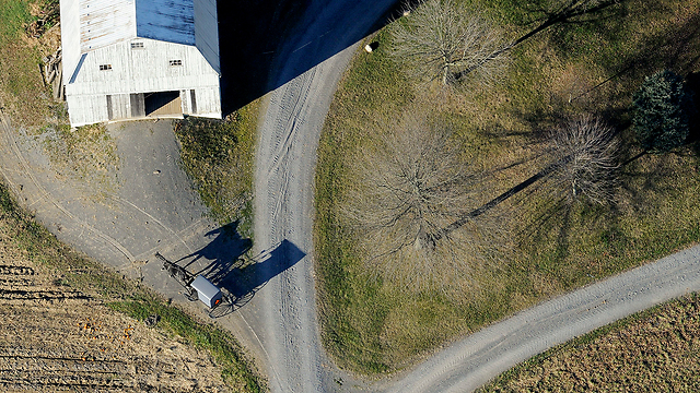 עגלת משא של בן כת ההאמיש עושה את דרכה לעבר חווה ליד העיר וושינגטוויל שבפנסילבניה (צילום: AP) (צילום: AP)