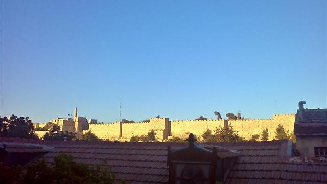 חומות העיר העתיקה. רק תבחרו בית כנסת (צילום: משה פרנס) (צילום: משה פרנס)