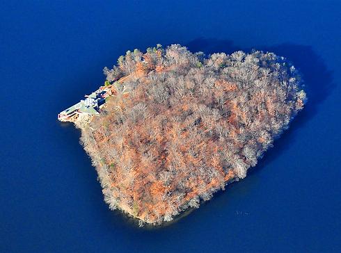 19.7 מיליון דולר והוא שלכם. האי פטרה (צילום: splashnews) (צילום: splashnews)