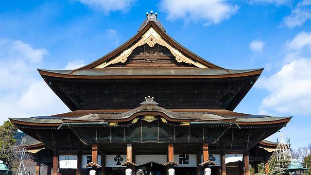 מקדש העץ ה-3 בגודלו ביפן. זנקו-ג'י בנגאנו (צילום: shutterstock) (צילום: shutterstock)