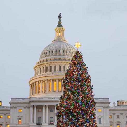 אורות צבעוניים וגם לבן. עץ חג מולד וגבעת הקפיטול בוושינגטון (צילום: shutterstock) (צילום: shutterstock)
