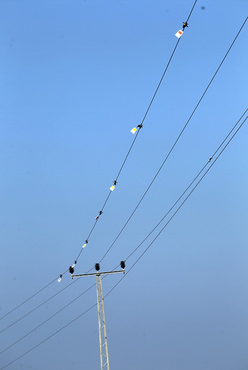  (צילום: יוסי וייס, דוברות חברת החשמל) (צילום: יוסי וייס, דוברות חברת החשמל)