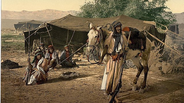 Bedouin encampment 