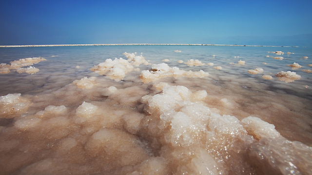 מלח בים המלח (צילום: shutterstock) (צילום: shutterstock)