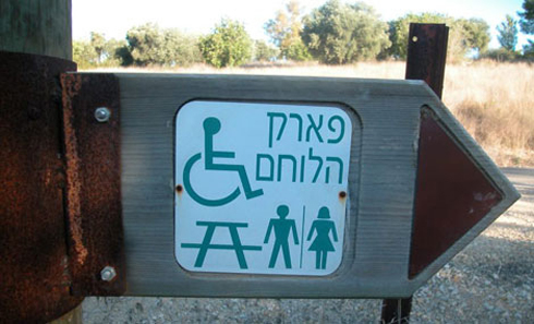 צילום: יעקב שקולניק