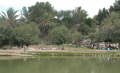 צילום: יעקב שקולניק