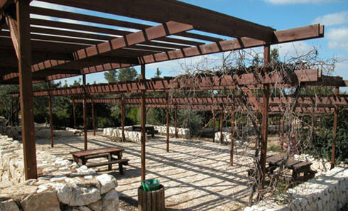 צילום: יעקב שקולניק