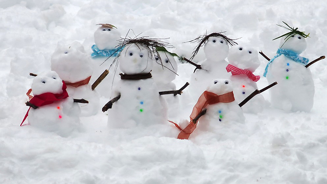 משפחת שלג הקטנה (צילום: רפי מן) (צילום: רפי מן)