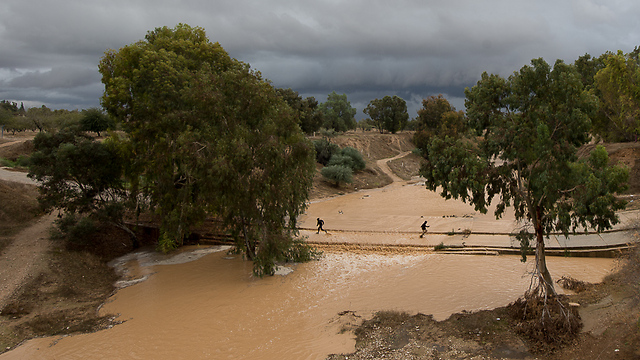 נחל הבשור במהלך סערת דצמבר (צילום: אלי בצרי) (צילום: אלי בצרי)