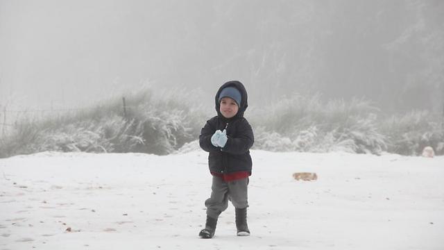 ילד שלג בצוק מנרה (צילום: ענת זיסוביץ) (צילום: ענת זיסוביץ)