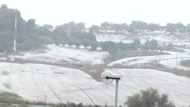 כפר דניאל נצבע לבן (צילום: קרן ענבי) (צילום: קרן ענבי)