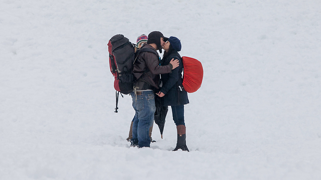 Winter's kiss (Photo: Ohad Zwigenberg)