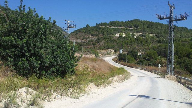 גבול לבנון, ארכיון (צילום: יואב זיתון) (צילום: יואב זיתון)