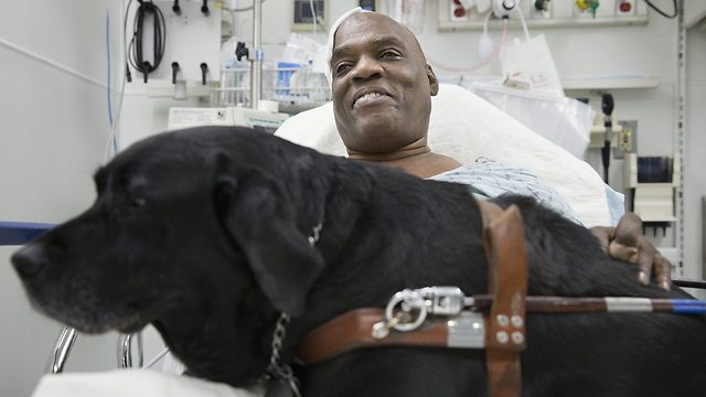 "הוא הציל את חיי". וויליאמס ואורלנדו במיטת בית החולים (צילום: AP) (צילום: AP)