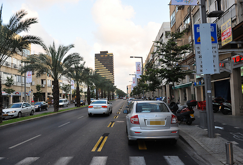 רחוב אבן גבירול בתל אביב (צילום: בן קלמר) (צילום: בן קלמר)