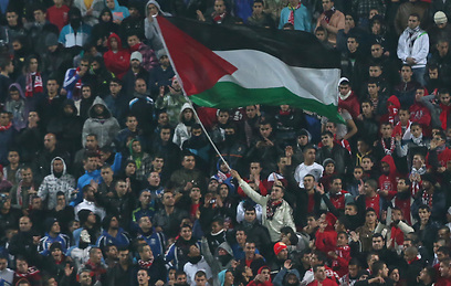 דגל פלסטין ביציעי סכנין (צילום: אורן אהרוני) (צילום: אורן אהרוני)