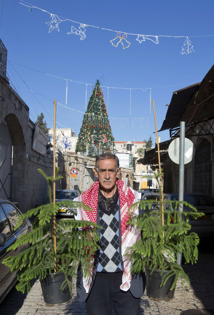 Christmas trees in Jerusalem (Photo: AFP)