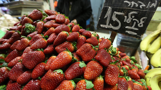 15 שקלים לקילוגרם תותים. שוק מחנה יהודה, היום (צילום: גיל יוחנן) (צילום: גיל יוחנן)