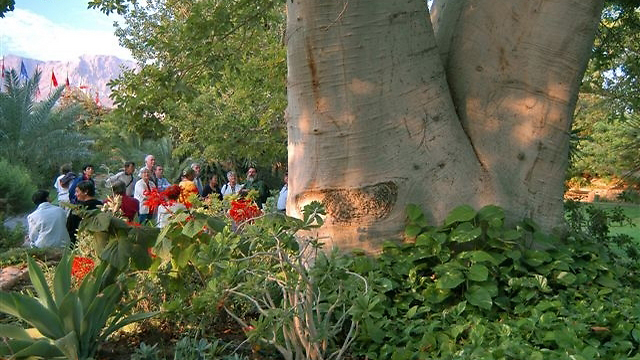 הגן הבוטני בעין גדי (צילום: אבישג איילון ושרה אלבר) (צילום: אבישג איילון ושרה אלבר)