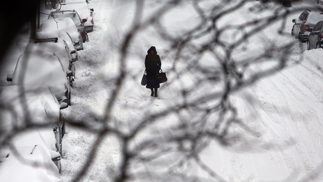 אישה צועדת בשלג של ברוקלין (צילום: AFP) (צילום: AFP)