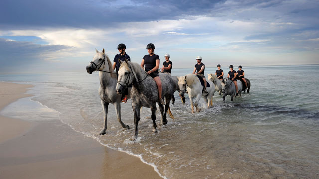 פרשי המשטרה באדלייד לקחו את הסוסים להצטנן בים (צילום: EPA) (צילום: EPA)