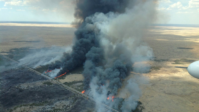 אש משתוללת באזור קיאנה (צילום: AP) (צילום: AP)