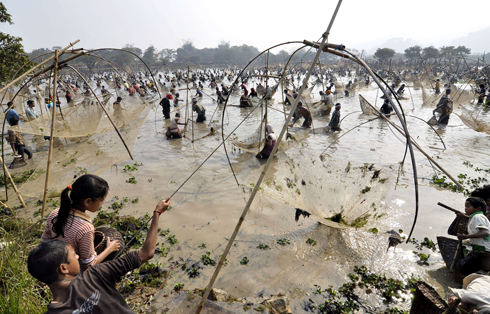 תושבי הכפר ההודי פנבארי דגים דגים במסגרת פסטיבל הקציר המסורתי הנחגג באזור באמצע חודש ינואר (צילום: AFP) (צילום: AFP)