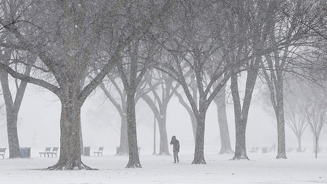 מרוב שלג לא רואים את היער. וושינגטון הבירה (צילום: AFP) (צילום: AFP)