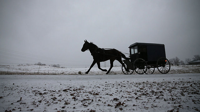 סוס גורר כרכרה במרילנד (צילום: AFP) (צילום: AFP)