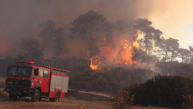 The Carmel fire (Photo: Avishag She'ar Yeshuv)